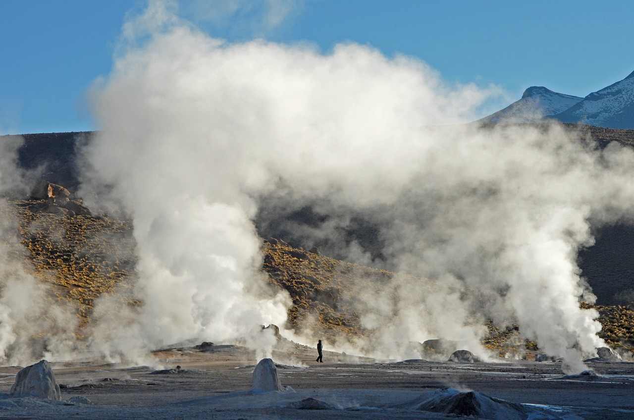 Geothermal reservoir simulation and energy recovery software